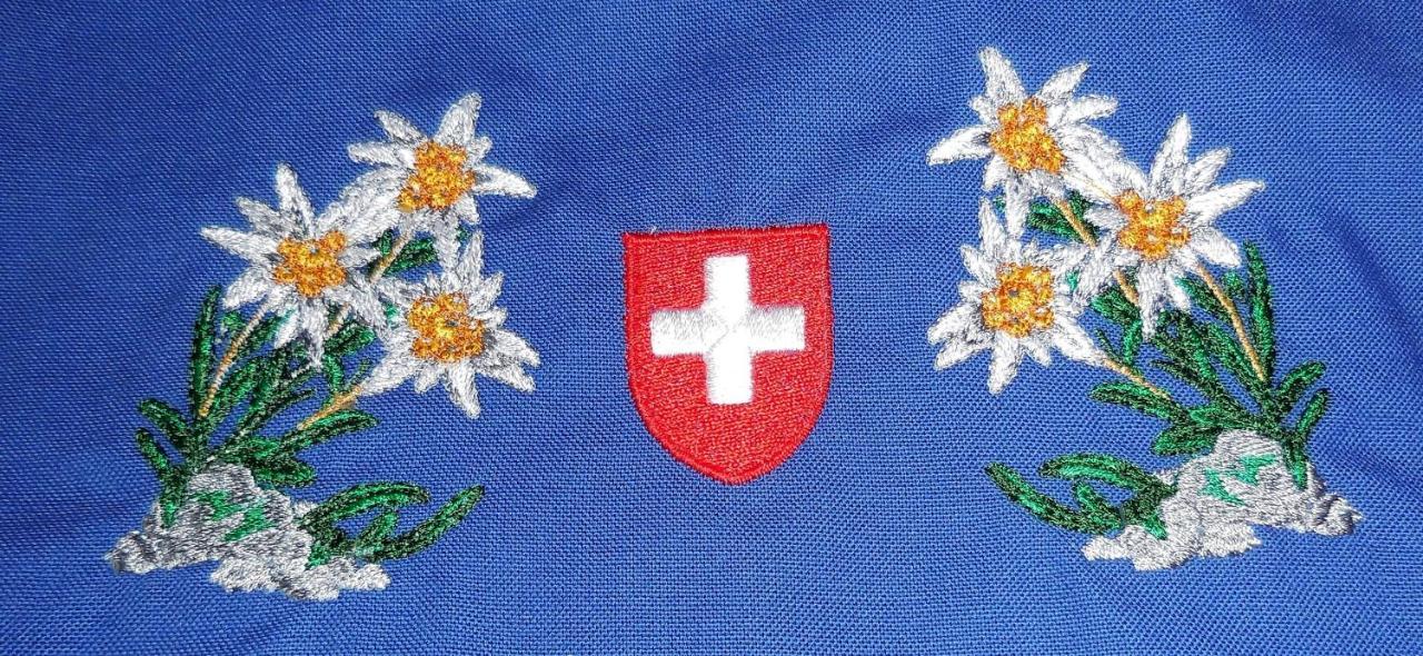 Swiss Chalet Style Zurych Zewnętrze zdjęcie